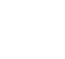 MESO 10