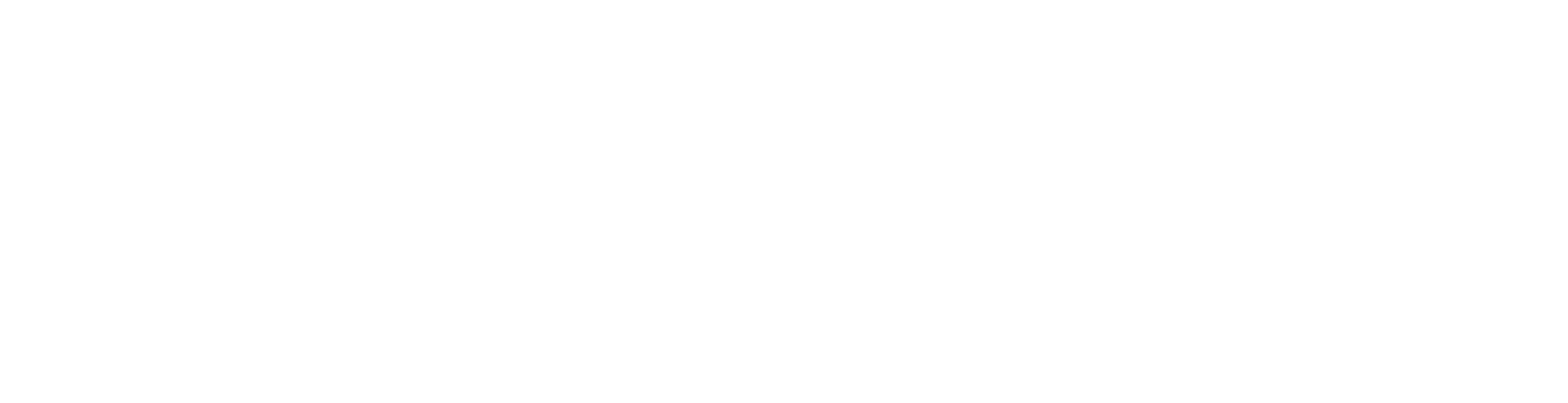 MESO 10